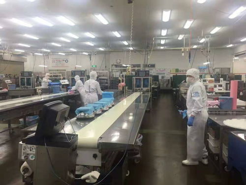 南充貝斯特 專業(yè)出國(guó)勞務(wù)工簽與全方位出入境服務(wù)